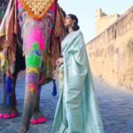 Ice Blue Kanjivaram Handloom Weaving Silk Saree With Blouse Piece