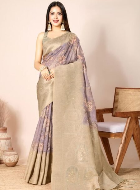 Multi Colours Cotton Silk Rich Pallu Banarasi Saree With Blouse Piece