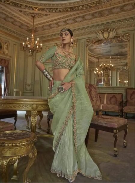 Fancy Soft Tissue Embroidered Saree With Blouse Piece