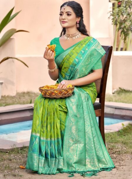 Rama Green Pochampalli Silk Saree With Blouse Piece