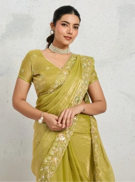 Mint Green Chiffon Velvet Broad C Pallu Embroidered Saree ( Dual Tone Zari Overly Sequance Threads )